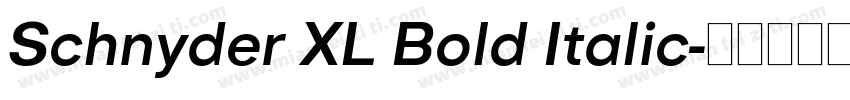 Schnyder XL Bold Italic字体转换
